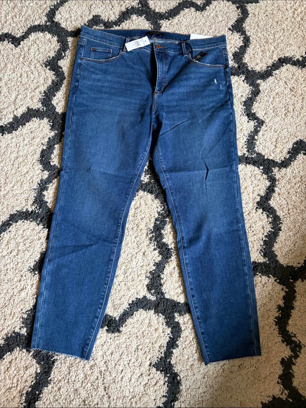 Ann Taylor Women's The Skinny Jeans in Blue